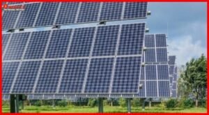 solar plants