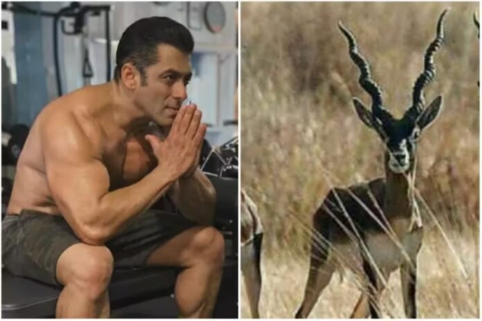 Salman khan blackbuck case