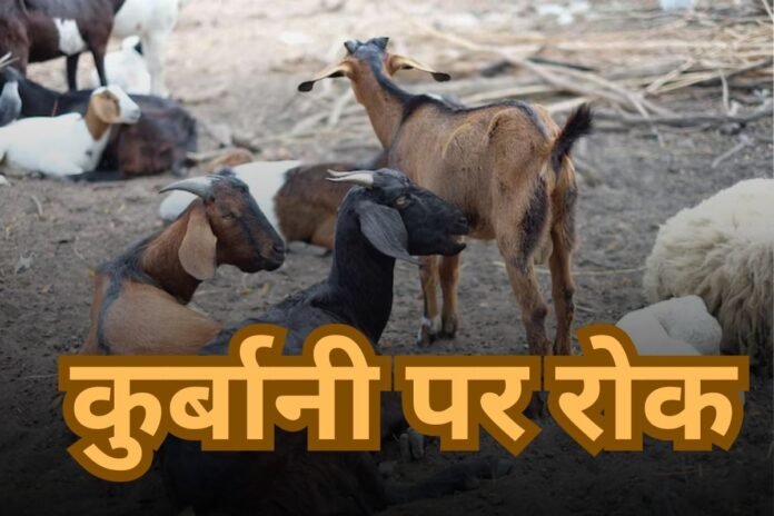 Eid al Adha 2025: बकरीद पर कुर्बानी पर बैन,सरकार ने जारी किया आदेश